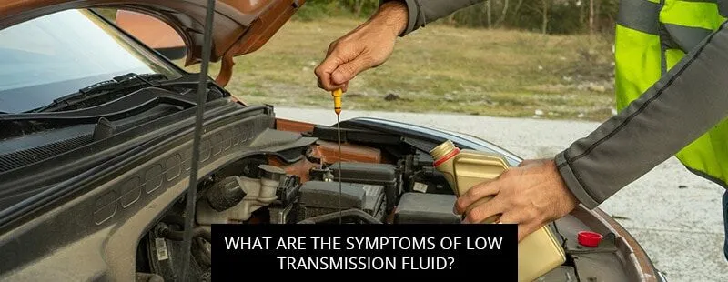 When to Check Transmission Fluid on a 2013 Ford Escape