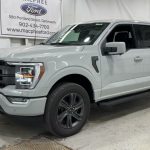 What Color Is Avalanche for Ford