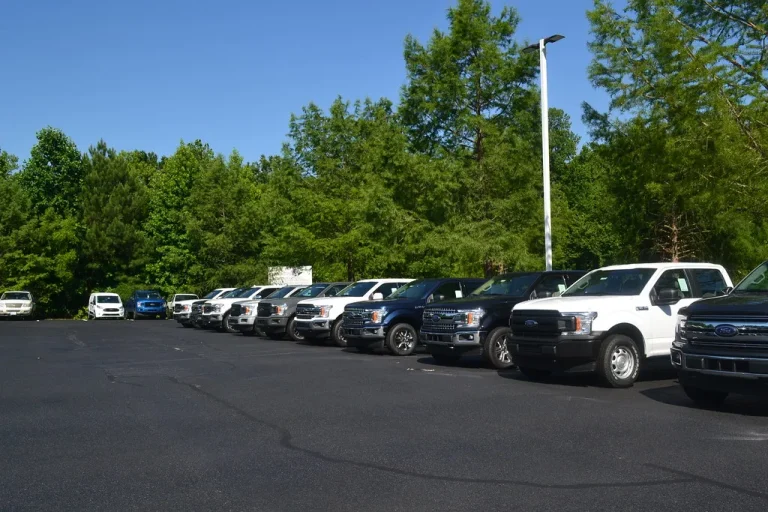 Regional Demand, Dealer Markups, and Inventory Differences